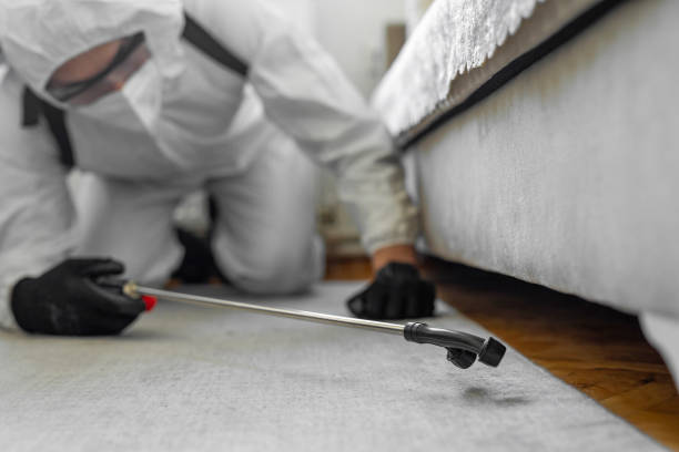 Professional Bed Bug Control technician working in Charlotte, NC