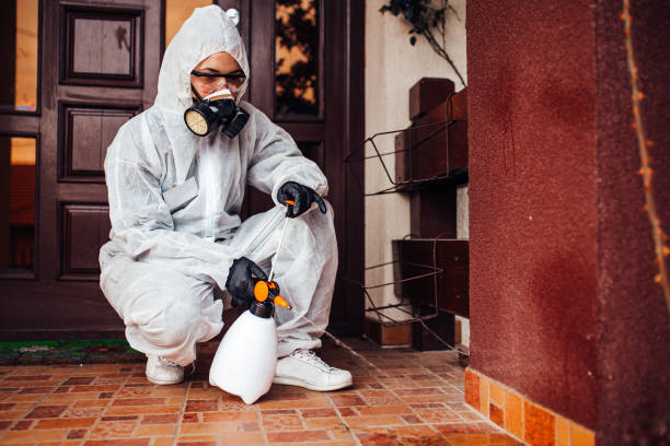 Reliable Bed Bug Control contractor in Charlotte, NC by Nex Pest Control