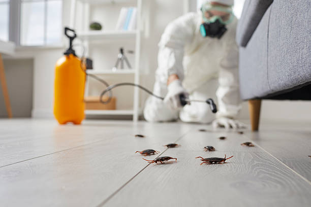 Trusted Cockroach Control service in Charlotte, NC - Nex Pest Control