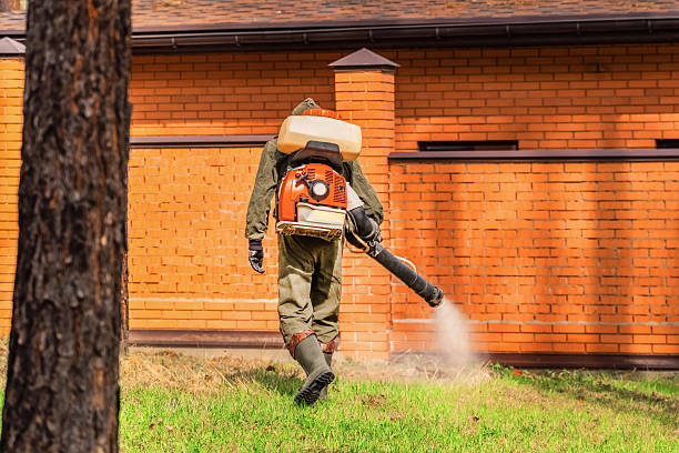 Trusted Termite Control service in Charlotte, NC - Nex Pest Control